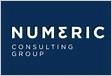 Numeric Consulting Group LinkedI